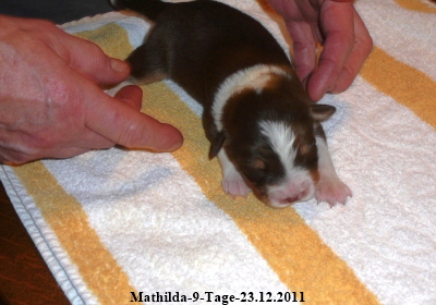 Mathilda-9-Tage-23.12.2011