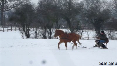 fly-26.01.2014_2-4